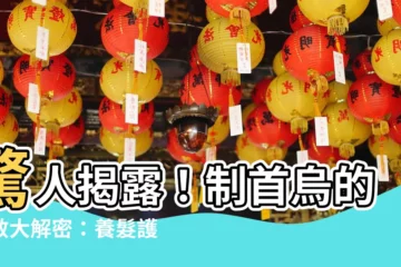 【制首烏功效】驚人揭露！制首烏的功效大解密：養髮護肝強身一把罩！