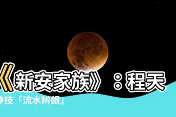 【新安家族流水辨銀】《新安家族》：程天送神技「流水辨銀」驚豔全場！