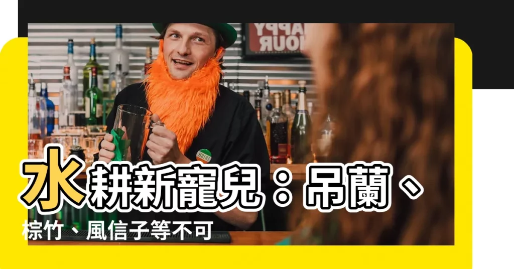【可以水耕的植物】水耕新寵兒：吊蘭、棕竹、風信子等不可錯過的綠意夥伴