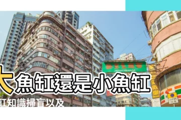 【家裏多大的魚缸合適】大魚缸還是小魚缸 |魚缸知識掃盲以及魚缸推薦 |新手第一次養魚 |