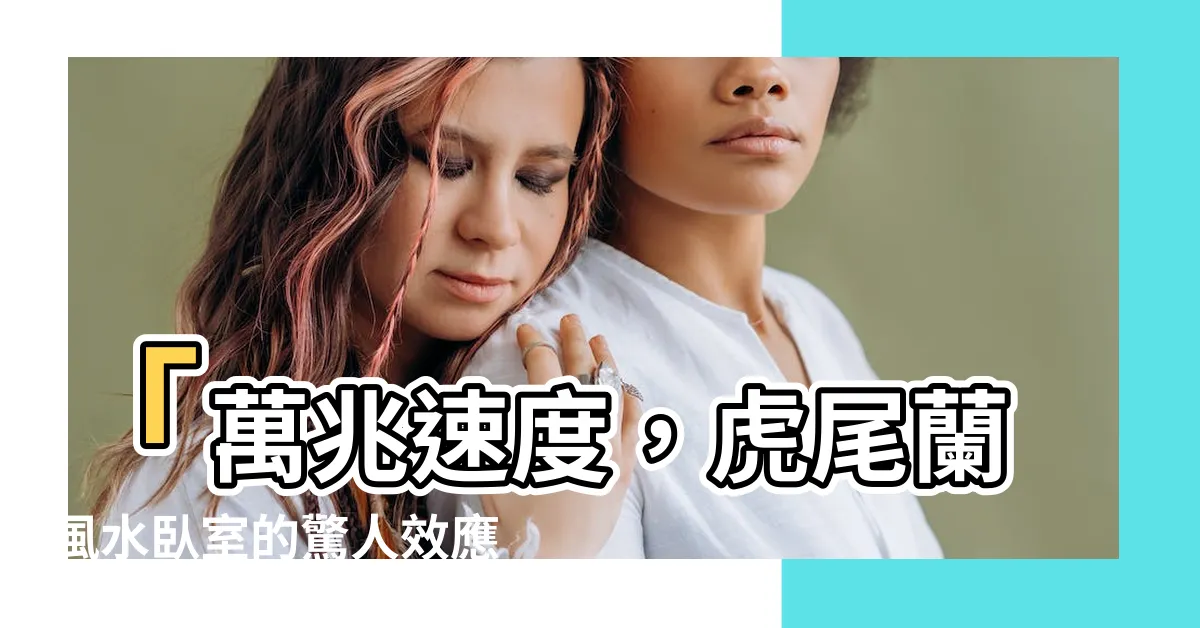 【虎尾蘭風水卧室】「萬兆速度，虎尾蘭風水卧室的驚人效應，讓你財運爆表！」