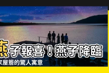 【燕子 意思】燕子報喜！燕子降臨你家屋簷的驚人寓意，快來看看