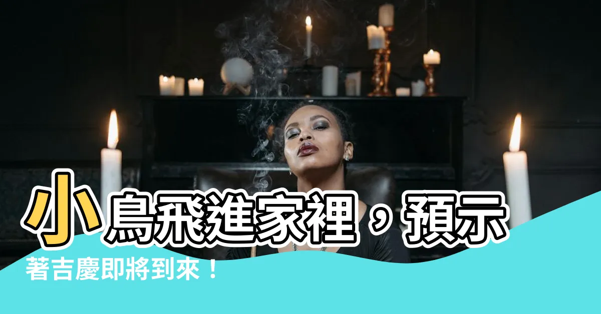 【小鳥飛來家裡】小鳥飛進家裡，預示著吉慶即將到來！