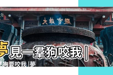 【夢見很多狗要咬我】夢見一羣狗咬我 |夢見狗要咬我 |夢見很多狗咬我是什麼意思預兆着什麼 |