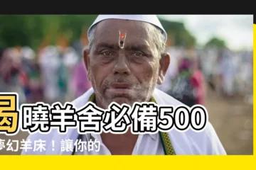 【羊牀】揭曉羊舍必備500款夢幻羊牀！讓你的羊兒舒適又健康