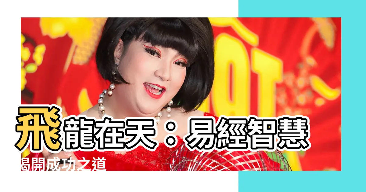 【飛龍在天 易經】飛龍在天：易經智慧揭開成功之道