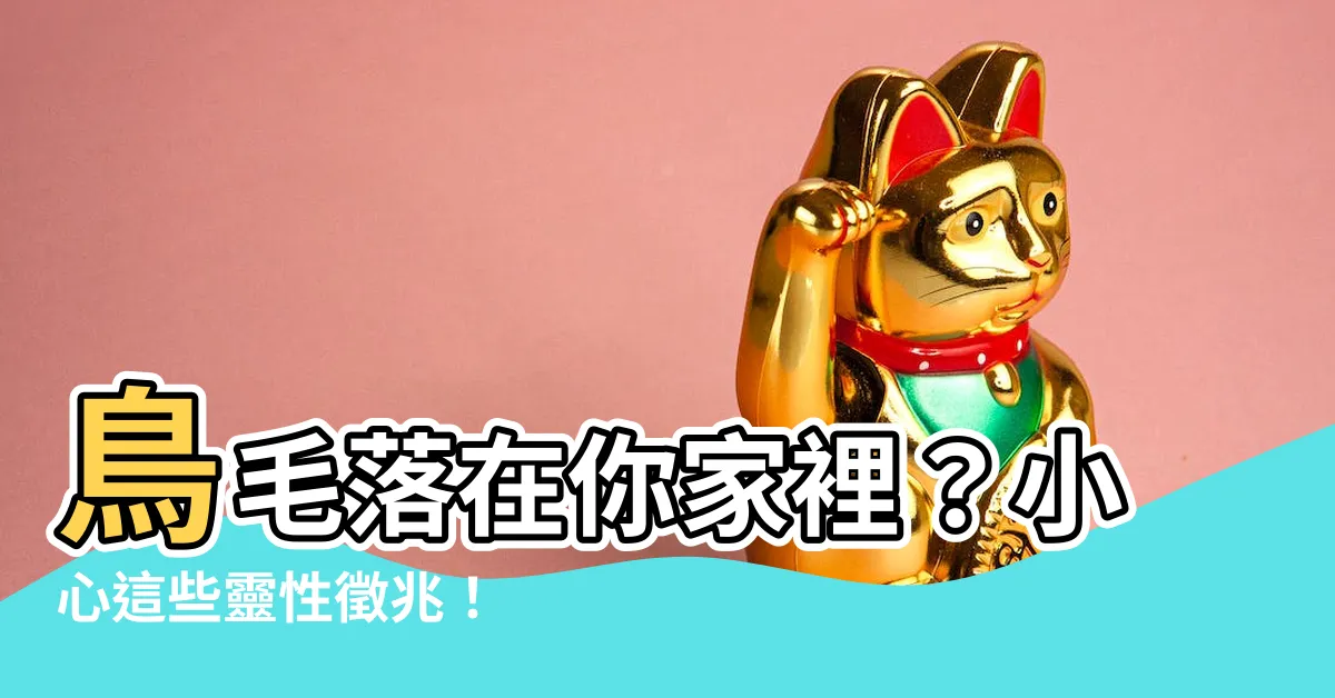 【家裡出現羽毛】鳥毛落在你家裡？小心這些靈性徵兆！