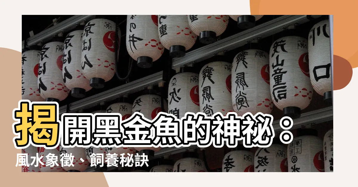 【黑金魚】揭開黑金魚的神秘：風水象徵、飼養秘訣與令人難以置信的轉變