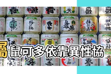 【今年鼠人的貴人】屬鼠可多依靠異性協助 |2023下半年貴人運爆棚5生肖 |2023年下半年的貴人和小人屬相都是誰 |