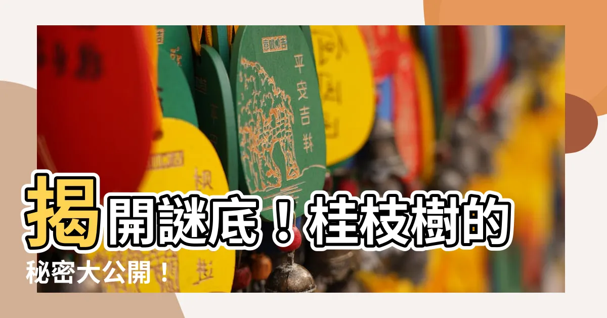 【桂枝樹】揭開謎底！桂枝樹的秘密大公開！