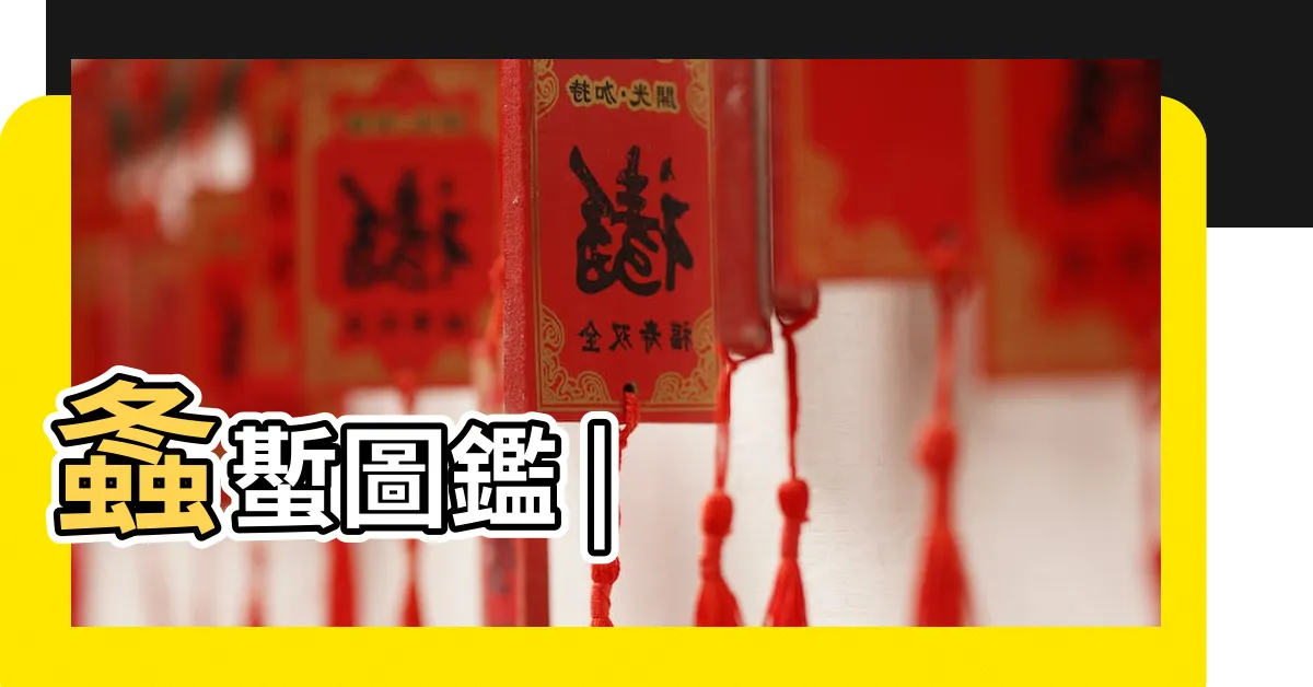 【螽斯種類】螽蟴圖鑑 |