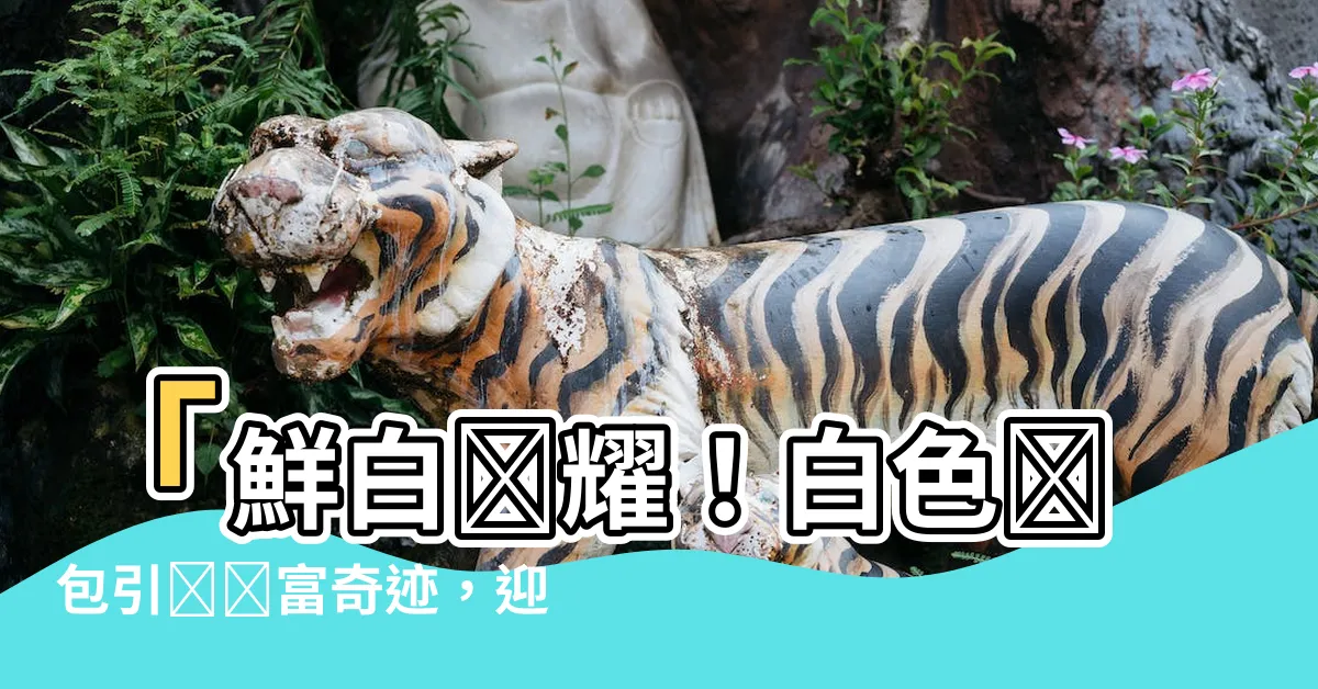 【白色錢包】「鮮白閃耀！白色錢包引領財富奇蹟，迎接財運大提升！」