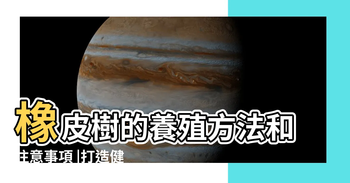 【橡皮樹】橡皮樹的養殖方法和注意事項 |打造健康的室內樹 |橡皮樹的養殖與護理 |
