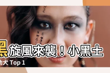 【小黑土狗】黑旋風來襲！小黑土狗幼犬 Top 100 件超萌寶貝