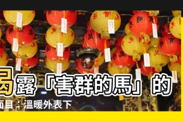 【害羣的馬】揭露「害羣的馬」的真面目：温暖外表下的冷酷謊言