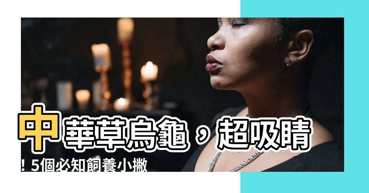 【草烏龜】中華草烏龜，超吸睛！5個必知飼養小撇步