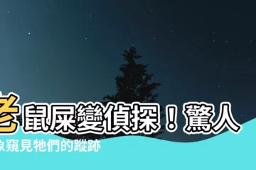 【老鼠 屎】老鼠屎變偵探！驚人跡象窺見牠們的蹤跡