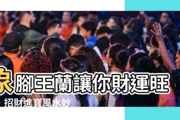 【象腳王蘭風水】象腳王蘭讓你財運旺旺，招財進寶風水妙方