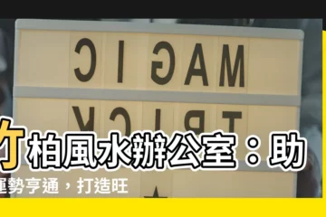【竹柏風水辦公室】竹柏風水辦公室：助你運勢亨通，打造旺財辦公環境