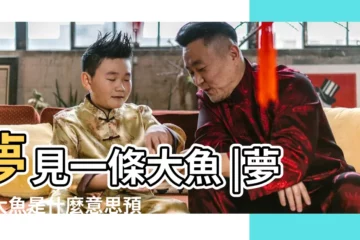 【昨天夢到一條大魚】夢見一條大魚 |夢見大魚是什麼意思預兆 |夢見一條大魚 |