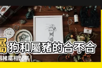 【屬狗和屬豬的好】屬狗和屬豬的合不合狗跟豬屬相配嗎 |生肖屬豬的和屬狗的合婚嗎 |我想知道屬狗和屬豬的能在一起嗎 |