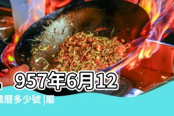 【1957年6月12日】1957年6月12日農曆多少號 |屬什麼生肖 |國曆1957年6月12日是農曆幾月幾日 |