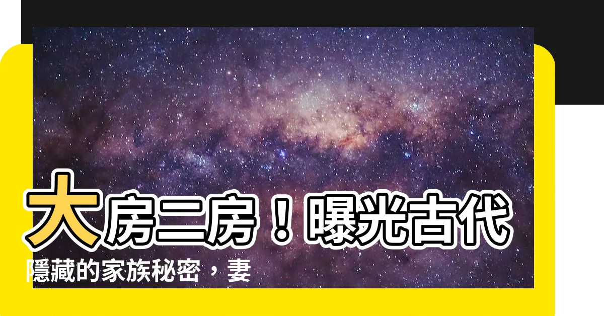 【大房二房】大房二房！曝光古代隱藏的家族秘密，妻妾之亂還是兒子親密戰？！