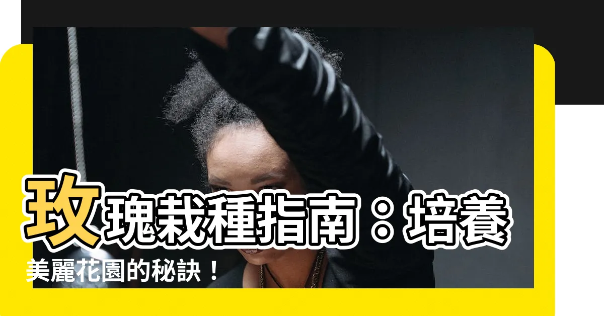 【玫瑰栽種】玫瑰栽種指南：培養美麗花園的秘訣！
