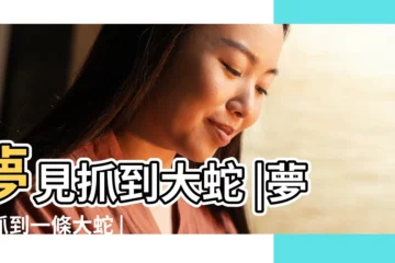 【夢見捉大蛇周公解夢】夢見抓到大蛇 |夢見抓到一條大蛇 |夢見抓大蛇 |