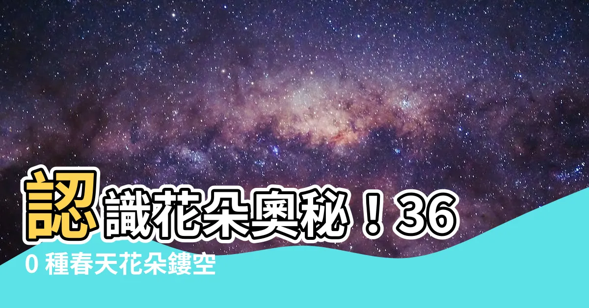 【花朵形狀】認識花朵奧秘！360 種春天花朵鏤空紙花的形狀全解析