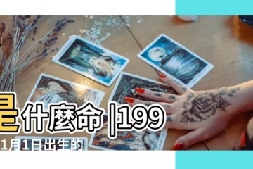 【95年1月什麼命】是什麼命 |1995年1月1日出生的人命好嗎 |1995年1月出生屬豬適合的工作有哪些 |