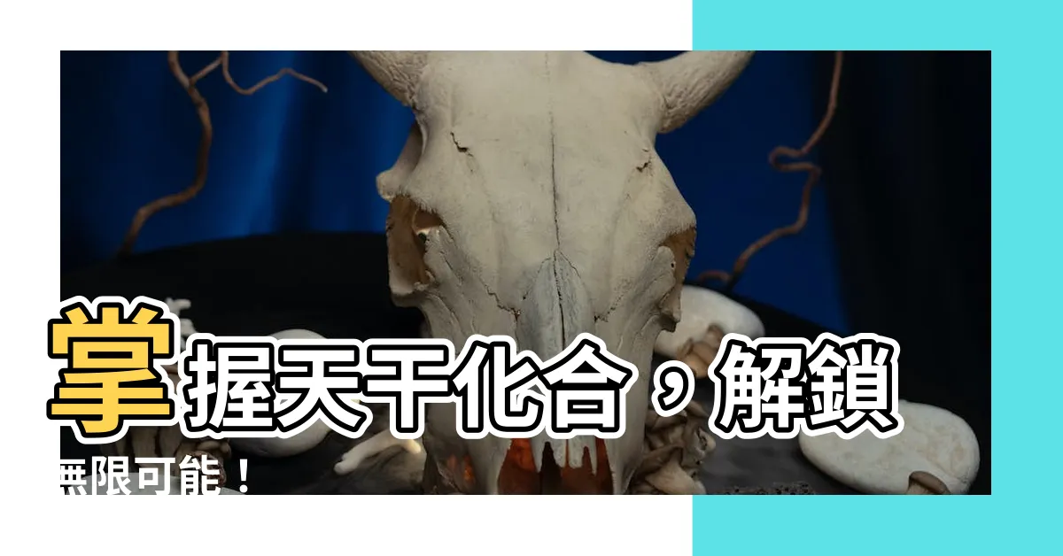 【天干化合】掌握天干化合，解鎖無限可能！