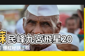 【蘇民峯九宮飛星2024】蘇民峯九宮飛星2024：爆紅秘訣！桃花財運健康一網打盡