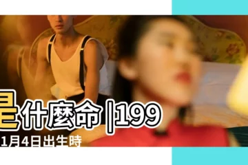 【1994年1月4日陰曆生日好嗎】是什麼命 |1994年1月4日出生時間看命運 |1994年1月4日出生日期看命運 |