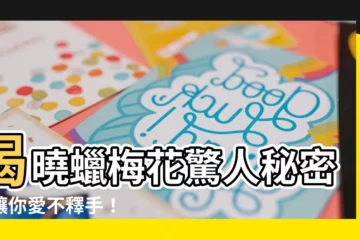 【蠟梅花】揭曉蠟梅花驚人秘密，讓你愛不釋手！
