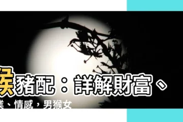 【猴豬配】猴豬配：詳解財富、事業、情感，男猴女豬是否長久？