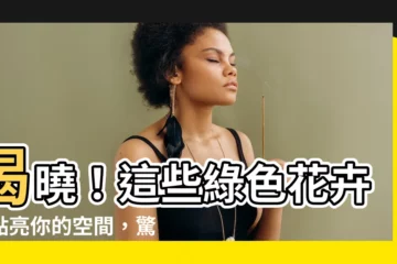 【綠色的花有哪些】揭曉！這些綠色花卉，點亮你的空間，驚艷你的視覺！