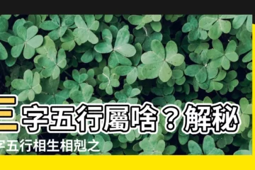 【三字五行】三字五行屬啥？解秘三字五行相生相剋之謎，取名寓意大解析！