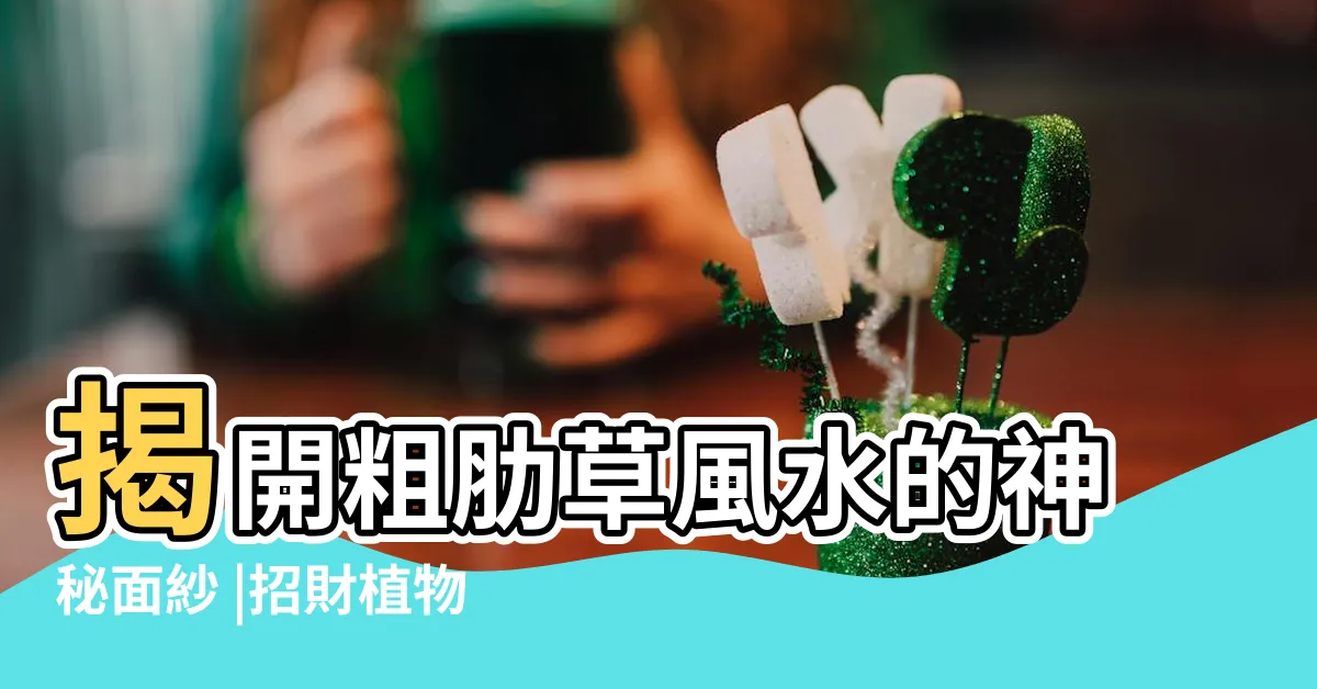 【巴黎美人粗肋草風水】揭開粗肋草風水的神秘面紗 |招財植物要擺對方位 |你知道了必定會立刻養一盆 |