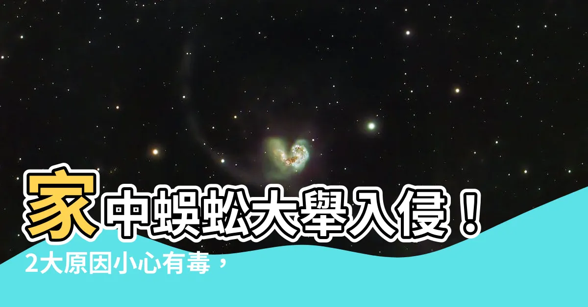 【家中有蜈蚣】家中蜈蚣大舉入侵！2大原因小心有毒，專家教2招有效防範