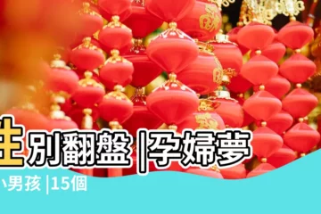 【孕婦夢見小男孩來我家】性別翻盤 |孕婦夢見小男孩 |15個媽媽們的 |