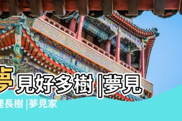 【夢見家好多樹】夢見好多樹 |夢見屋裡長樹 |夢見家中有參天大樹 |