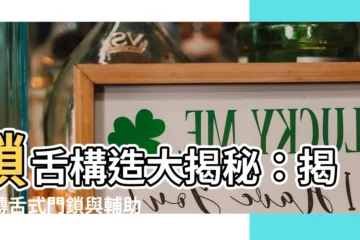 【鎖舌構造】鎖舌構造大揭秘：揭開轉舌式門鎖與輔助鎖的秘密