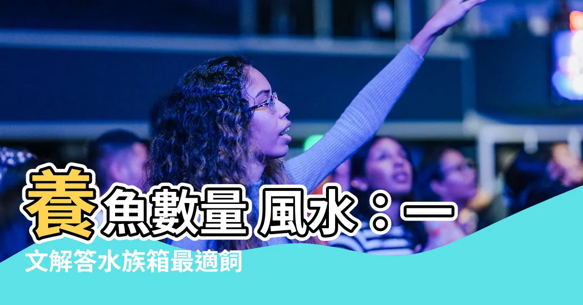 【養魚數量 風水】養魚數量 風水：一文解答水族箱最適飼育數目