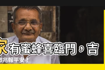【家有蜜蜂】家有蜜蜂喜臨門，吉祥徵兆報平安！