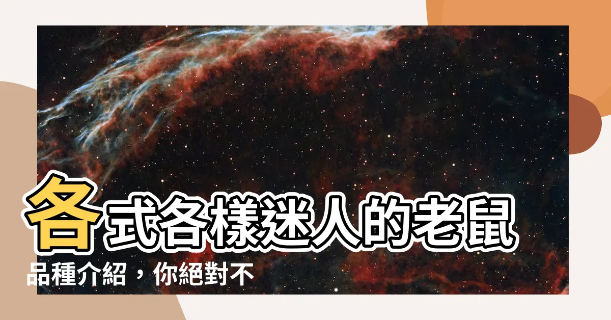 【老鼠品種介紹】各式各樣迷人的老鼠品種介紹，你絕對不能錯過！