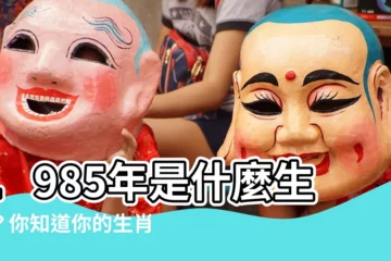 【1985年是什麼生肖】1985年是什麼生肖？你知道你的生肖五行屬性嗎？