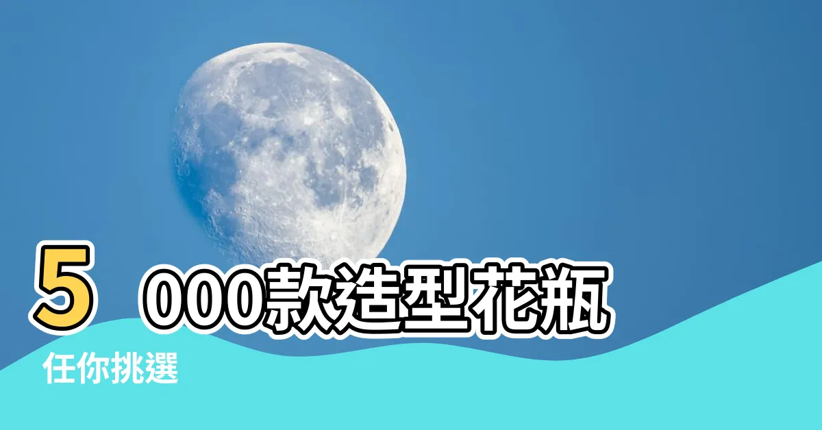 【造型花瓶】5000款造型花瓶 任你挑選