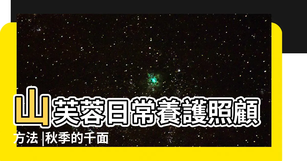 【醉芙蓉種植】山芙蓉日常養護照顧方法 |秋季的千面美人 |