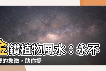 【金鑽植物風水】金鑽植物風水：永不放棄的象徵，助你提升運勢！